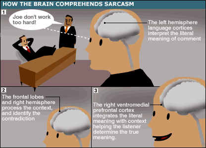 sarcasm brain