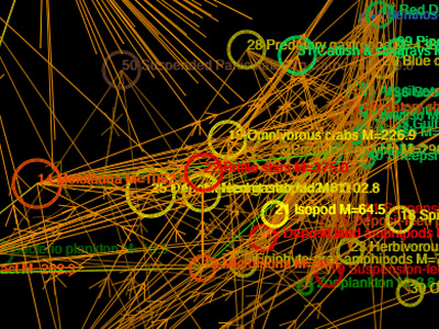visualization ui networks