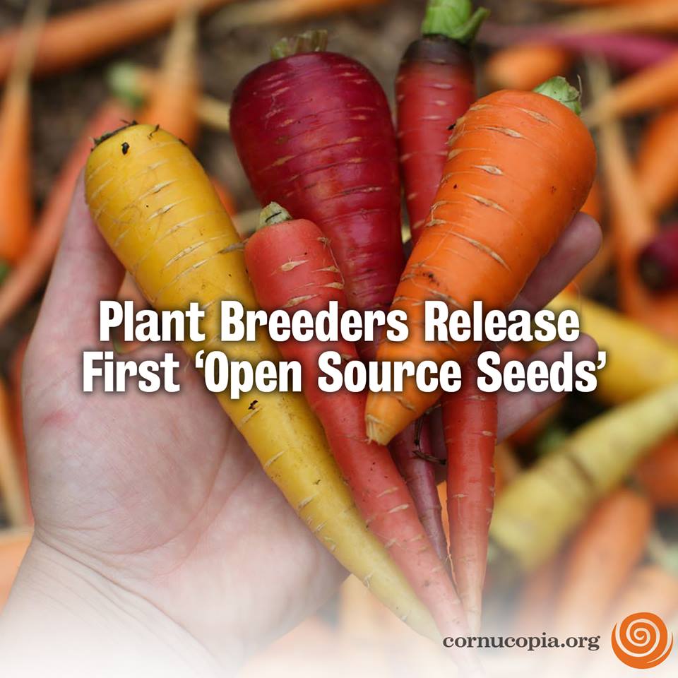 opensource seed food