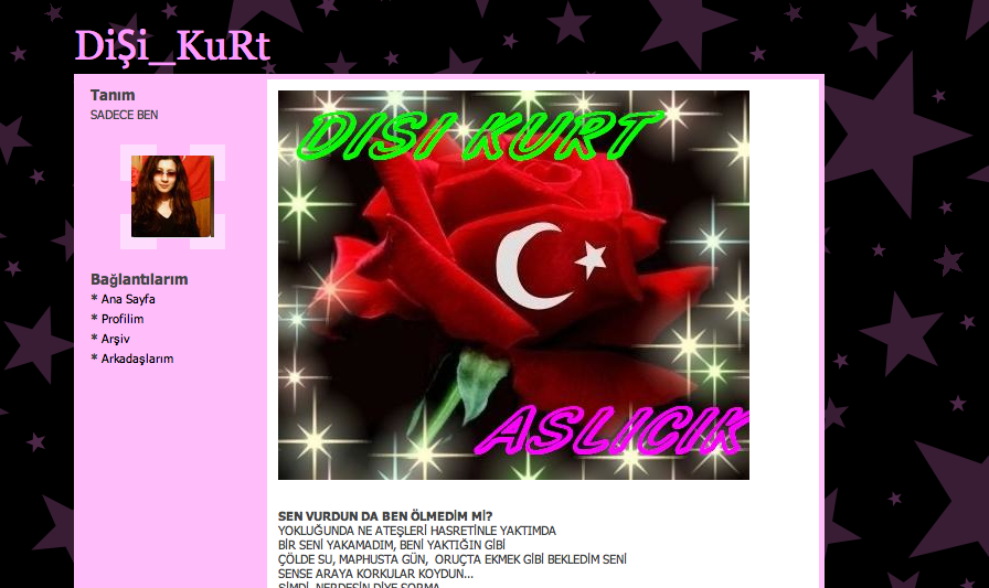 disi kurt aslicik