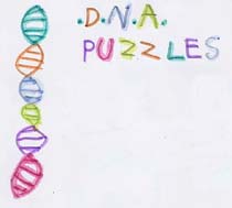 dna evde extract