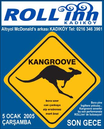 nightlife kangroove