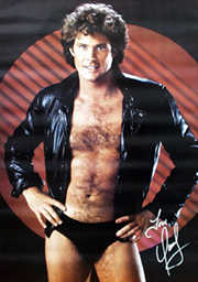 davidhasselhoff karaşimşek knightrider